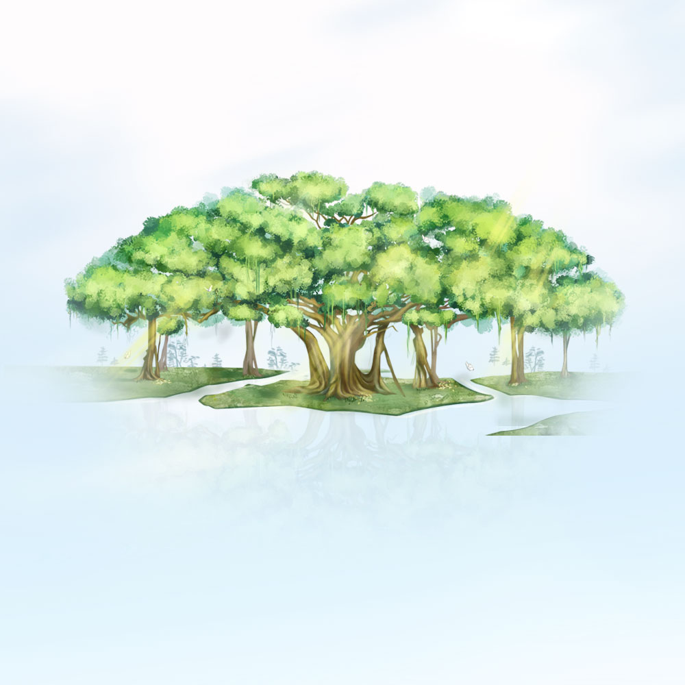 Strategic Revolution