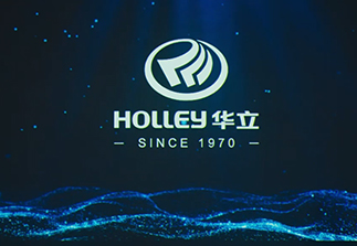 ga黄金甲集团发展片